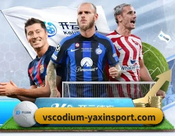 足球篮球电竞赛程一站查看 | yaxin